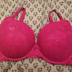 Torrid Bra